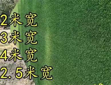 wechat_2025-07-01_154158_468.jpg